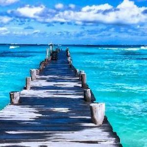 Meet your Posher, Marisol